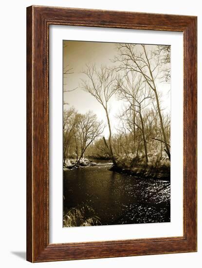 Winter on the Neuse River-Alan Hausenflock-Framed Photographic Print