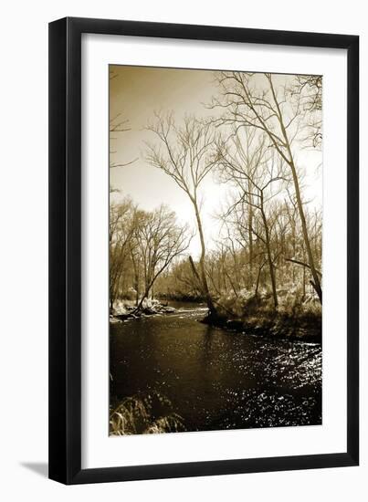 Winter on the Neuse River-Alan Hausenflock-Framed Photographic Print