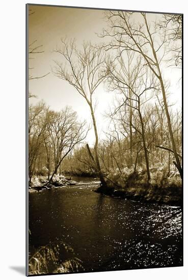 Winter on the Neuse River-Alan Hausenflock-Mounted Photographic Print