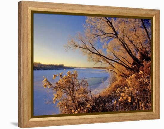 Winter on the Yellowstone River Near Cartwright, North Dakota, USA-Chuck Haney-Framed Premier Image Canvas