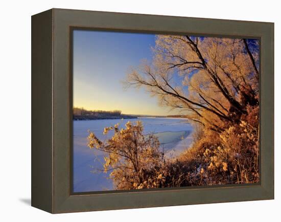 Winter on the Yellowstone River Near Cartwright, North Dakota, USA-Chuck Haney-Framed Premier Image Canvas