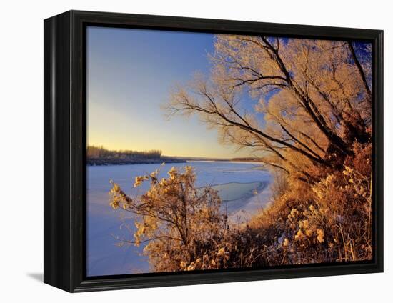 Winter on the Yellowstone River Near Cartwright, North Dakota, USA-Chuck Haney-Framed Premier Image Canvas