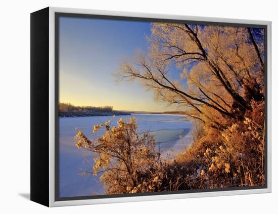 Winter on the Yellowstone River Near Cartwright, North Dakota, USA-Chuck Haney-Framed Premier Image Canvas