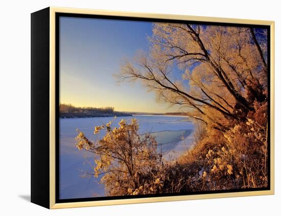 Winter on the Yellowstone River Near Cartwright, North Dakota, USA-Chuck Haney-Framed Premier Image Canvas