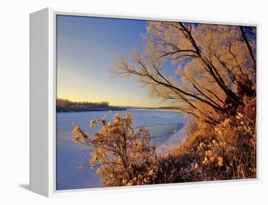 Winter on the Yellowstone River Near Cartwright, North Dakota, USA-Chuck Haney-Framed Premier Image Canvas