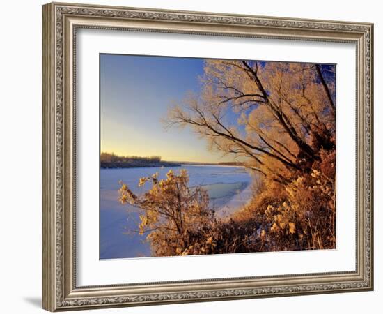 Winter on the Yellowstone River Near Cartwright, North Dakota, USA-Chuck Haney-Framed Photographic Print