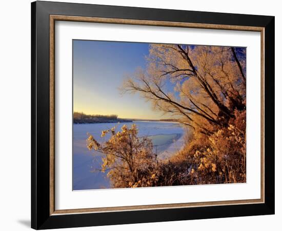 Winter on the Yellowstone River Near Cartwright, North Dakota, USA-Chuck Haney-Framed Photographic Print