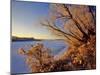 Winter on the Yellowstone River Near Cartwright, North Dakota, USA-Chuck Haney-Mounted Photographic Print