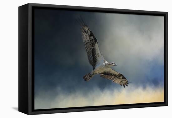 Winter Osprey-Jai Johnson-Framed Premier Image Canvas