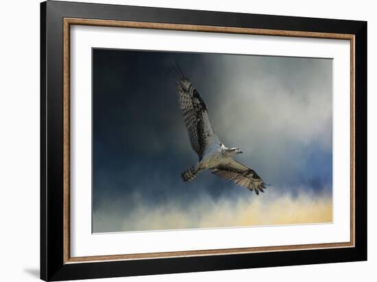 Winter Osprey-Jai Johnson-Framed Giclee Print