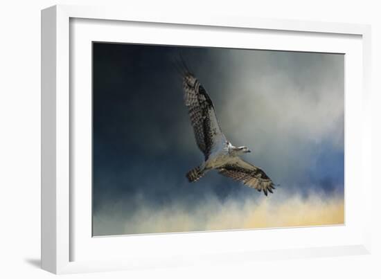 Winter Osprey-Jai Johnson-Framed Giclee Print