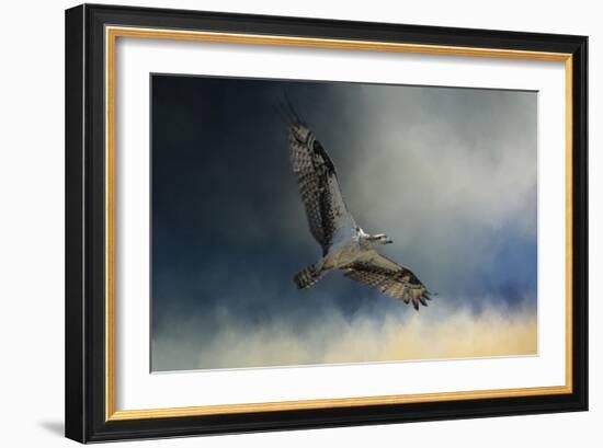 Winter Osprey-Jai Johnson-Framed Giclee Print