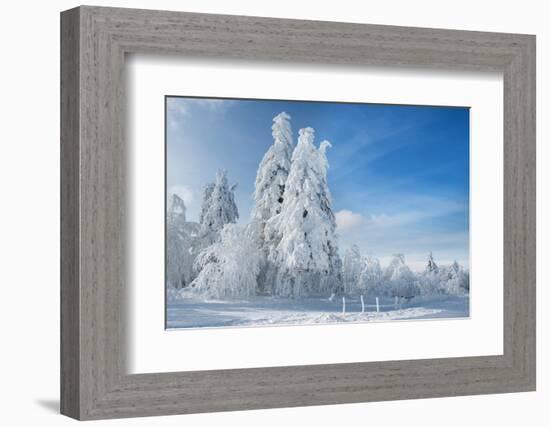 Winter Paintography-Philippe Sainte-Laudy-Framed Photographic Print