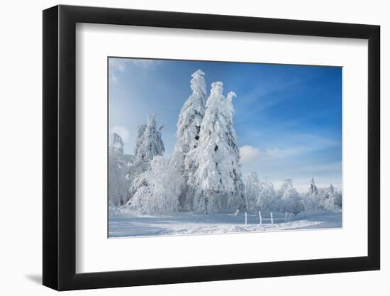 Winter Paintography-Philippe Sainte-Laudy-Framed Photographic Print