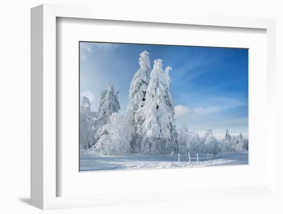 Winter Paintography-Philippe Sainte-Laudy-Framed Photographic Print