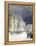 Winter Palace Saint Petersburg 1897-Chris Hellier-Framed Premier Image Canvas