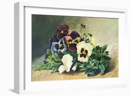 Winter Pansies, 1884-Louis Bombled-Framed Giclee Print