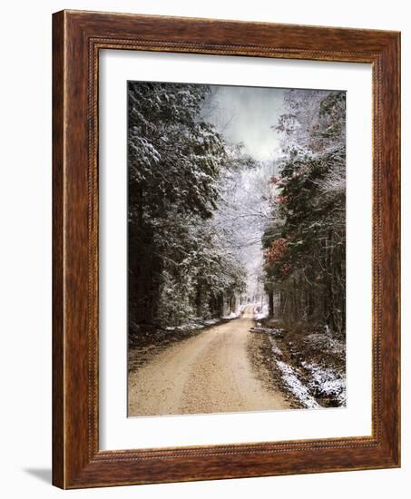 Winter Paradise-Jai Johnson-Framed Photographic Print