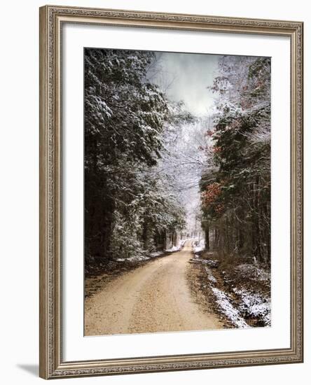 Winter Paradise-Jai Johnson-Framed Photographic Print