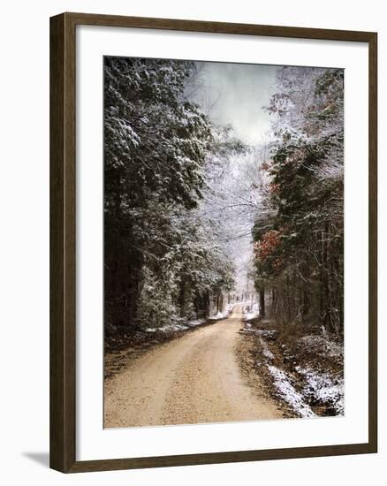 Winter Paradise-Jai Johnson-Framed Photographic Print