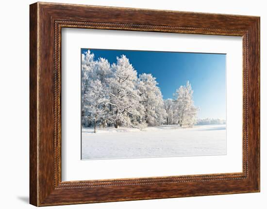 Winter Park in Snow-Hydromet-Framed Photographic Print