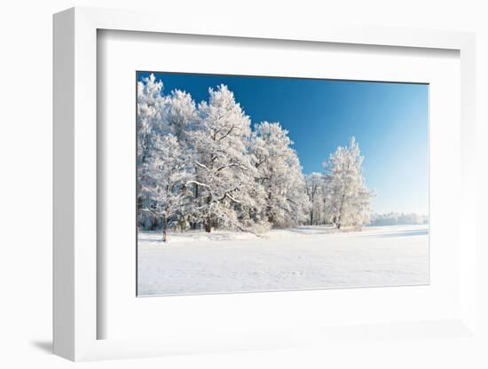 Winter Park in Snow-Hydromet-Framed Photographic Print