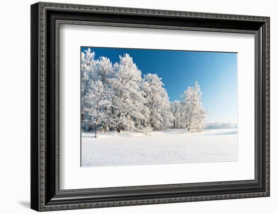 Winter Park in Snow-Hydromet-Framed Photographic Print