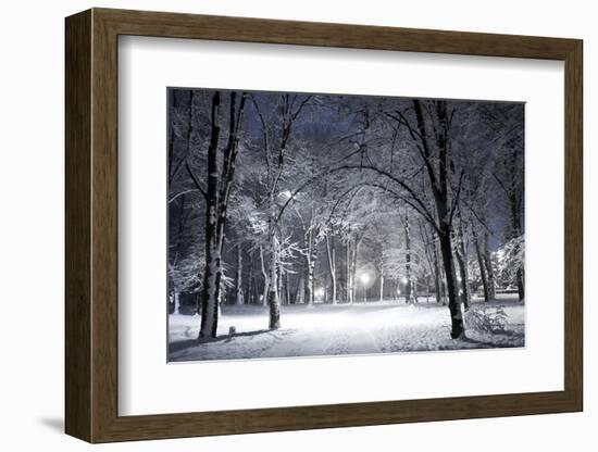 Winter Park in the Evening Covered with Snow with a Row of Lamps-Olegkalina-Framed Photographic Print