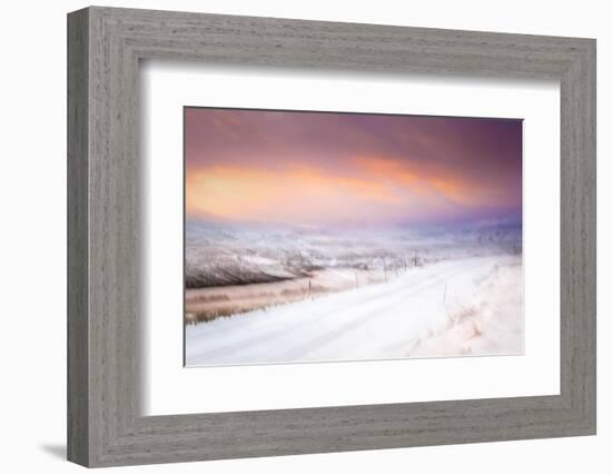 Winter Pastels-Lynne Douglas-Framed Photographic Print