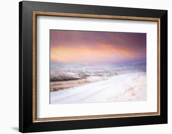 Winter Pastels-Lynne Douglas-Framed Photographic Print