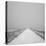 Winter Path-Andrew Geiger-Framed Stretched Canvas