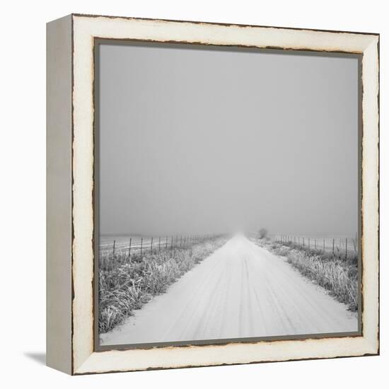 Winter Path-Andrew Geiger-Framed Stretched Canvas