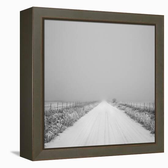Winter Path-Andrew Geiger-Framed Stretched Canvas