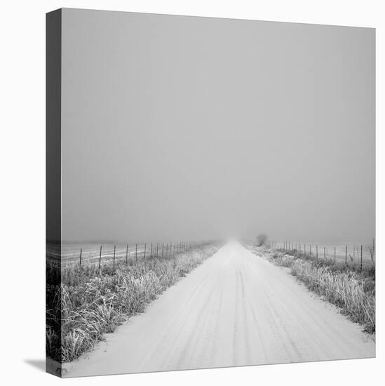 Winter Path-Andrew Geiger-Framed Stretched Canvas