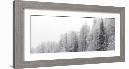 Winter Pines-Mikhaylov-Framed Art Print