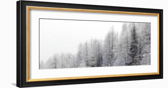 Winter Pines-Mikhaylov-Framed Art Print