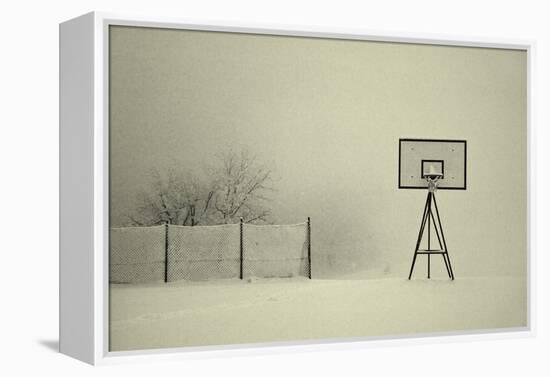 Winter Playground-Jure Kravanja-Framed Premier Image Canvas