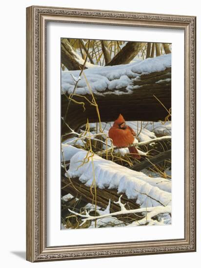 Winter Playground-Michael Budden-Framed Giclee Print