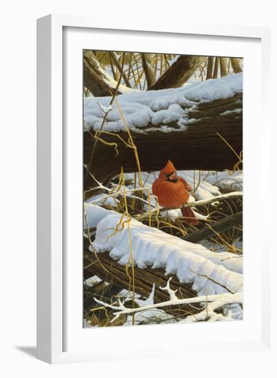 Winter Playground-Michael Budden-Framed Giclee Print