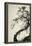 Winter Plum-Geoffrey Ansel Agrons-Framed Premier Image Canvas