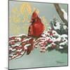 Winter Red Bird I-Tiffany Hakimipour-Mounted Art Print