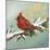 Winter Red Bird II-Tiffany Hakimipour-Mounted Art Print