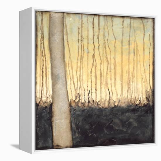 Winter Reverie IV-Jennifer Goldberger-Framed Stretched Canvas