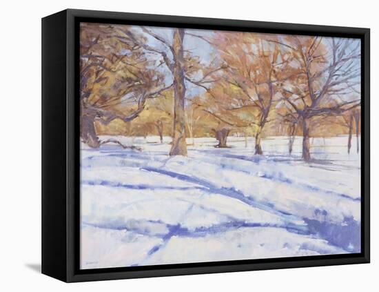 Winter, Richmond Park-Christopher Glanville-Framed Premier Image Canvas