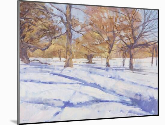 Winter, Richmond Park-Christopher Glanville-Mounted Giclee Print