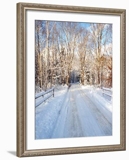 Winter Road in New England-Bill Bachmann-Framed Photographic Print