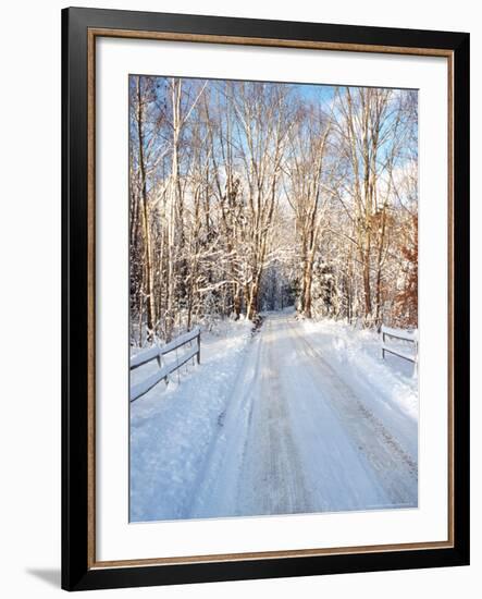 Winter Road in New England-Bill Bachmann-Framed Photographic Print