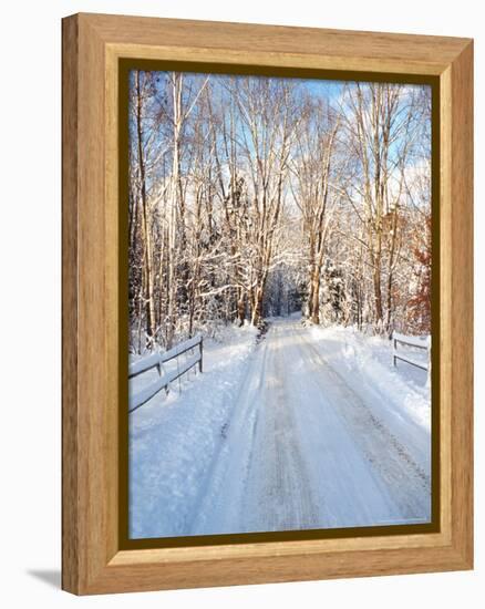 Winter Road in New England-Bill Bachmann-Framed Premier Image Canvas