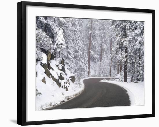 Winter Road in Yosemite National Park-Darrell Gulin-Framed Photographic Print