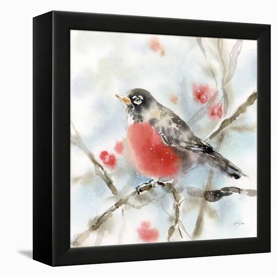 Winter Robin-Katrina Pete-Framed Stretched Canvas